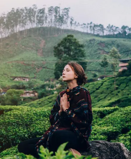 Wisdom and Peace